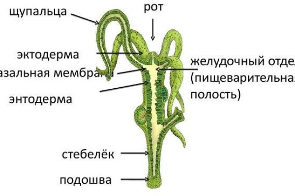 Регистрация на кракен